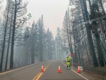 468635_western_wildfires_35023 72a32c853cfb444cb331c6cfba03cd88 676x507.jpg