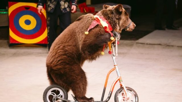 468749_gettyimages 1269503165 676x451.jpg