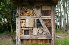 469105_gettyimages 589442434 676x449.jpg