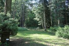 469120_lesnicke arboretum kysihybel 676x451.jpg