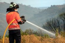 470004_spain_wildfires_17370 b3d35ca5cc0b44c2a728233c2beecf4a 676x451.jpg