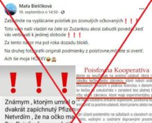 470717_242706873_1049932925834574_3234037837938539127_n e1632400796947.jpg