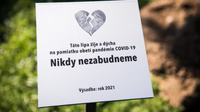 471445_lipa_zilina_skutocne obete 9 676x451.jpg