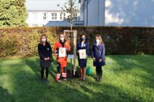 471577_lipa 676x451.jpg