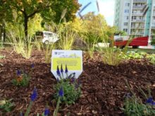 472489_247377378_4586920681367305_5398508590959096885_n 676x507.jpg