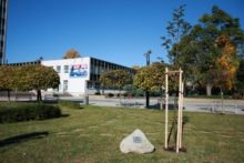 472575_img_1150 676x451.jpg