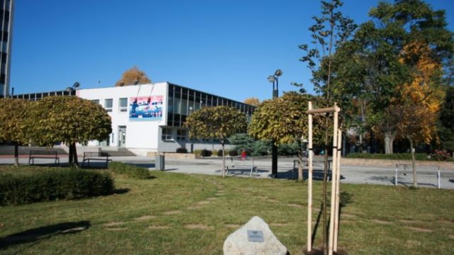 472575_img_1150 676x451.jpg