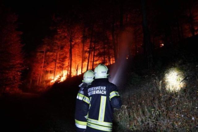 472866_hasici rakusko pomoc poziar les 676x450.jpg