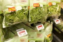 473351_elektronicke cenovky_01 676x451.jpeg