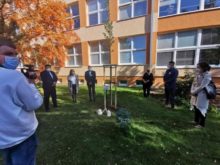 473386_zs tajovskeho_senec_lipa_covid 5 676x507.jpg