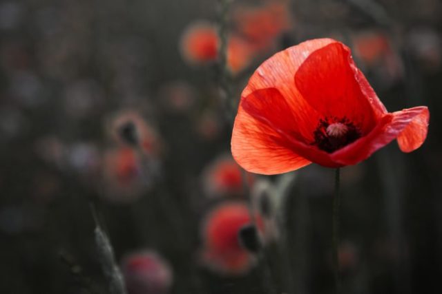 473553_gettyimages 1347652495 676x451.jpg