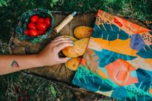 473693_vcelobal 676x450.jpg