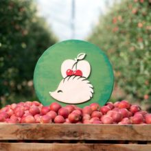 473795_dsc_3197 edit 676x676.jpg