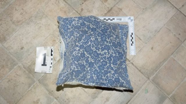 474120_vankus 676x428.jpg