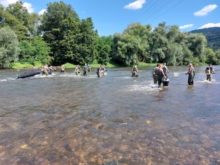 474205_20210812_111057 676x507.jpg