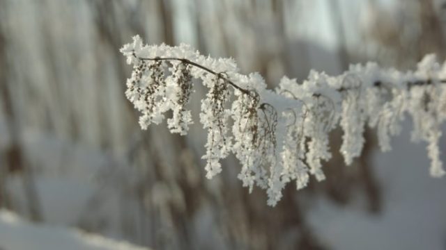 475677_gettyimages 618746424 676x452.jpg