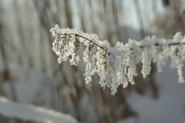 475677_gettyimages 618746424 676x452.jpg