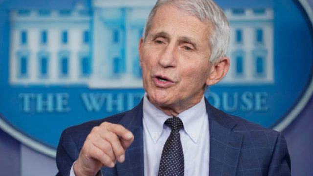 475855_media_fox_fauci_47888 e39df1649c2146dca70f50b7e34338d5 676x451.jpg