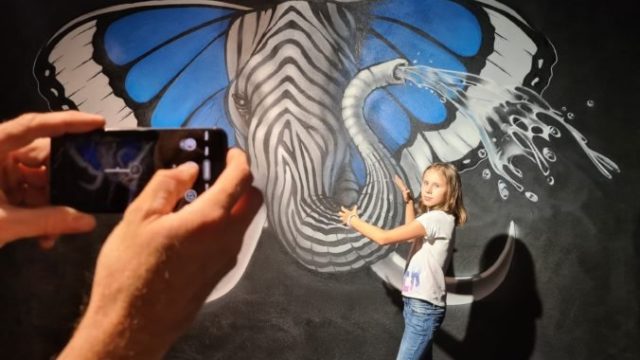 476558_01 20210805_174909 676x439.jpg