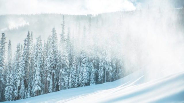 477221_gettyimages 1080686018 676x397.jpg