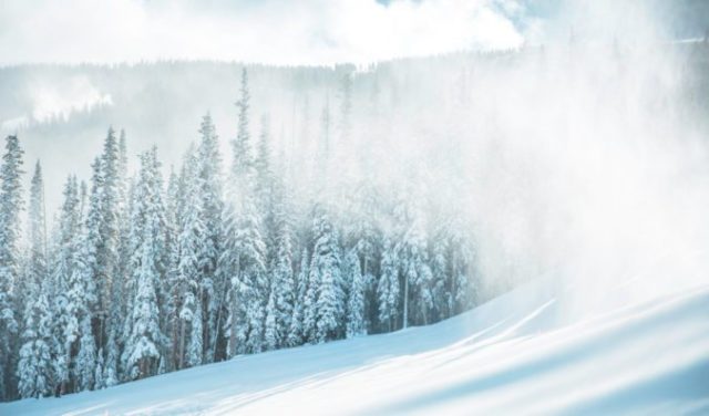 477221_gettyimages 1080686018 676x397.jpg