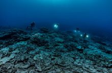 477788_tahiti_coral_reef_92281 97b421f3476b47f0beb2c7e25d127561 676x447.jpg