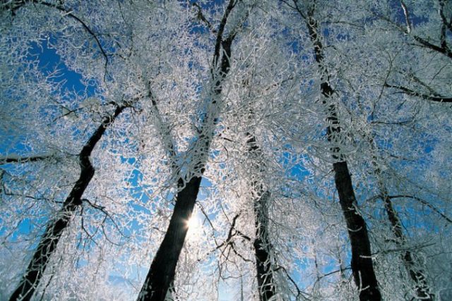 477938_thinkstockphotos dv513001 676x451.jpg