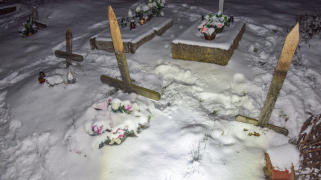 478000_foto_1 1 676x451.jpg