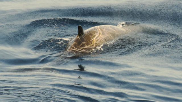 478448_gettyimages 520410849 676x451.jpg