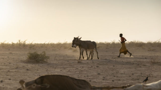 478699_ethiopia_horn_of_africa_drought_54200 e7dc62484d7d49d5969c9d203703a659 676x451.jpg