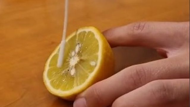 478738_citron test koronavirus.jpg