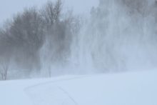479336_gettyimages 1097170404 676x451.jpg