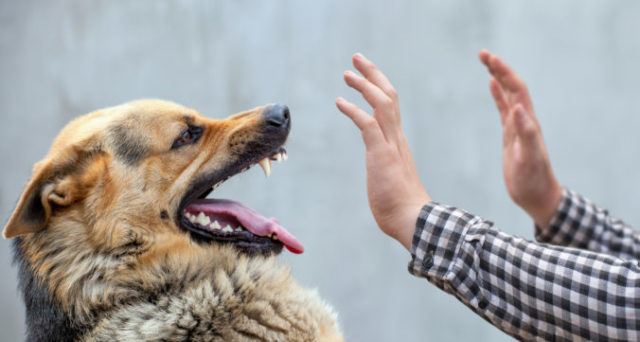 479361_gettyimages 883803300 676x361.jpg