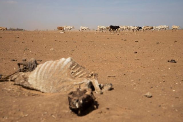 479413_ethiopia_horn_of_africa_hunger_28362 6eb2bf609324412e80da6d3680ae369e 676x451.jpg