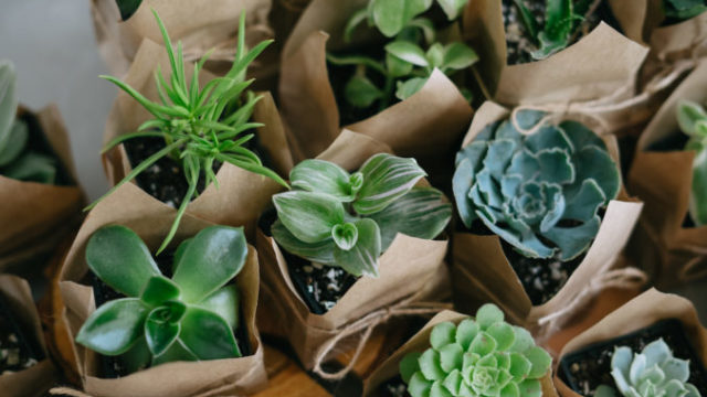 479556_adobestock_480773369 676x451.jpeg