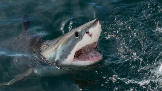 479759_gettyimages 1061200186 scaled 1 676x451.jpg