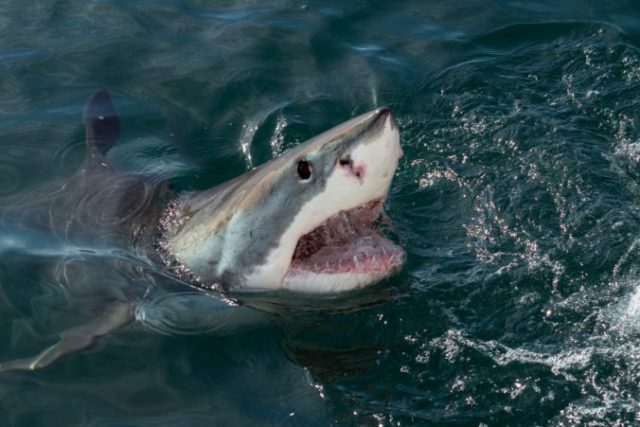 479759_gettyimages 1061200186 scaled 1 676x451.jpg