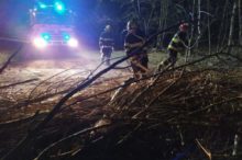 479955_hasici cz 676x449.jpg