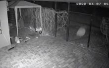 481734_mykolaiv kazetova municia.jpg