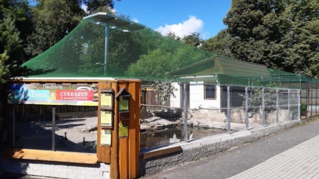 482698_zoo snv 676x507.jpg