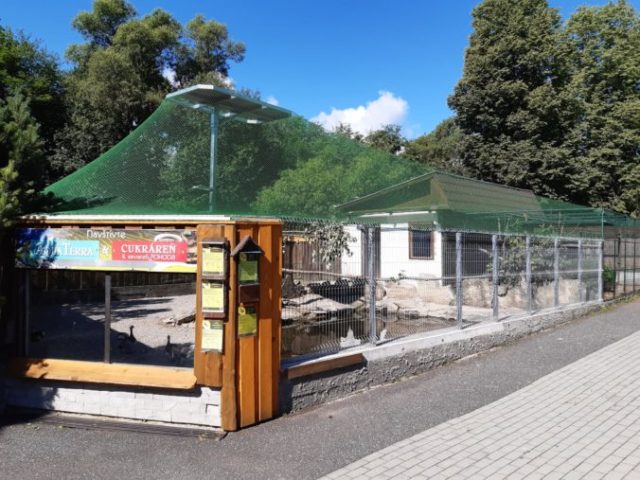 482698_zoo snv 676x507.jpg