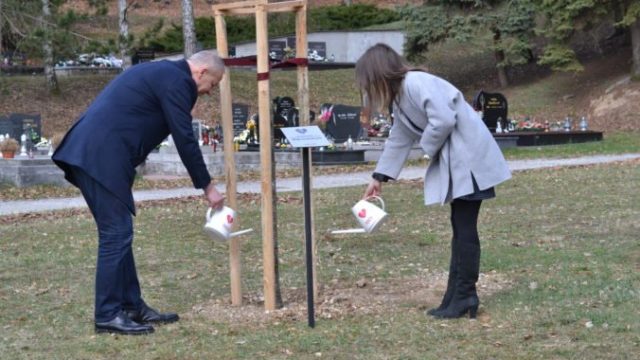 482821_lipa pre obete covidu 19_banska bystrica 8 676x451.jpg