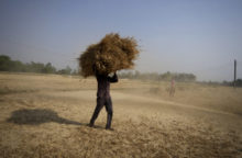 485400_india_wheat_export_67294 c0bbb60bfb6749628c7ba84d6e7b019a 676x444.jpg