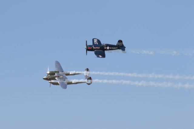 486851_img_3643 676x451.jpg