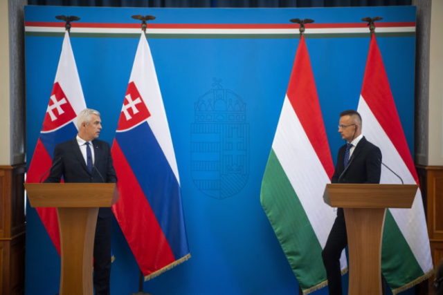 487598_hungary_slovakia_90347 22ef885cdc844b2292478cacf293016d 676x451.jpg