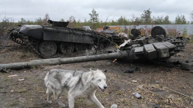 488517_russia_ukraine_war_65363 701c8d6f1750489eab85900fe7bf827f 676x452.jpg