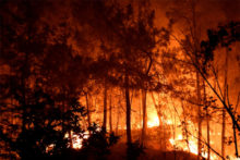 488689_france_wildfires_01876 8967b83382a244c4b46e2c2e205aab60 676x451.jpg