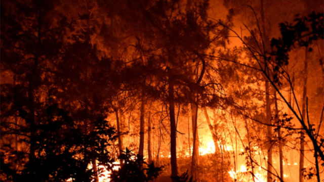 488689_france_wildfires_01876 8967b83382a244c4b46e2c2e205aab60 676x451.jpg