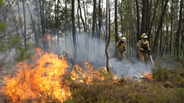 489094_portugal_forest_fires_11882 3845db2cc94440369f67d28a603cbb00 676x451.jpg