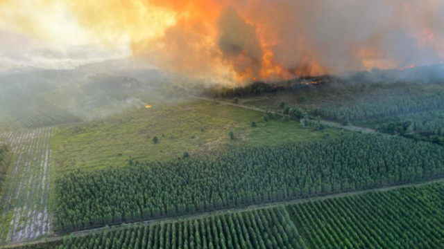 489188_france_wildfires_53772 8a4915ed6818491783e1dcc7e31e68c4 676x507.jpg